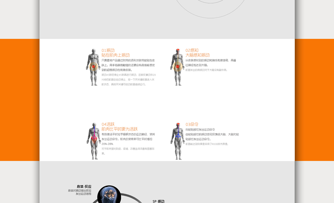 品牌网站建设公司